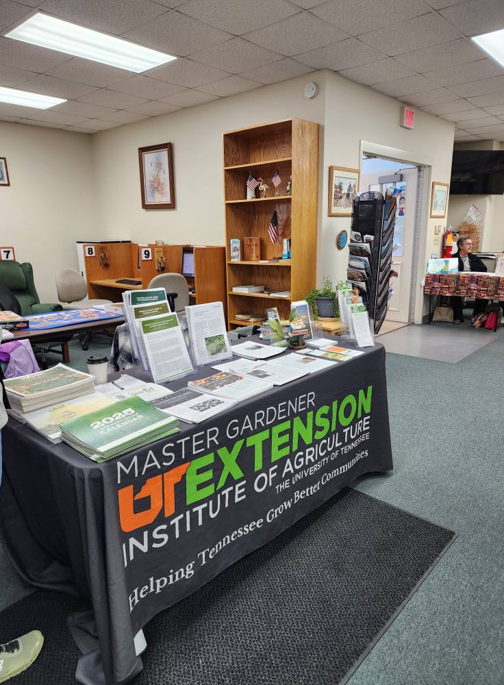 Table at Mosheim Community Day