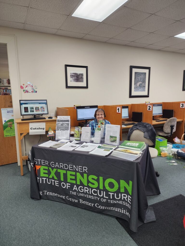 Volunteer at Mosheim Community Day