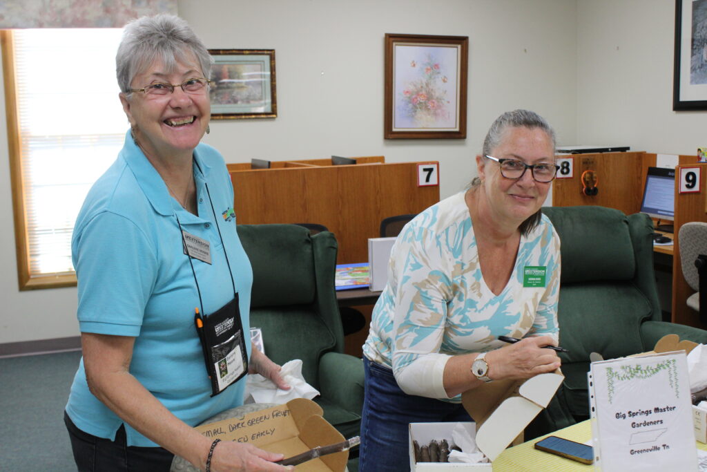 Volunteers at Mosheim Community Day