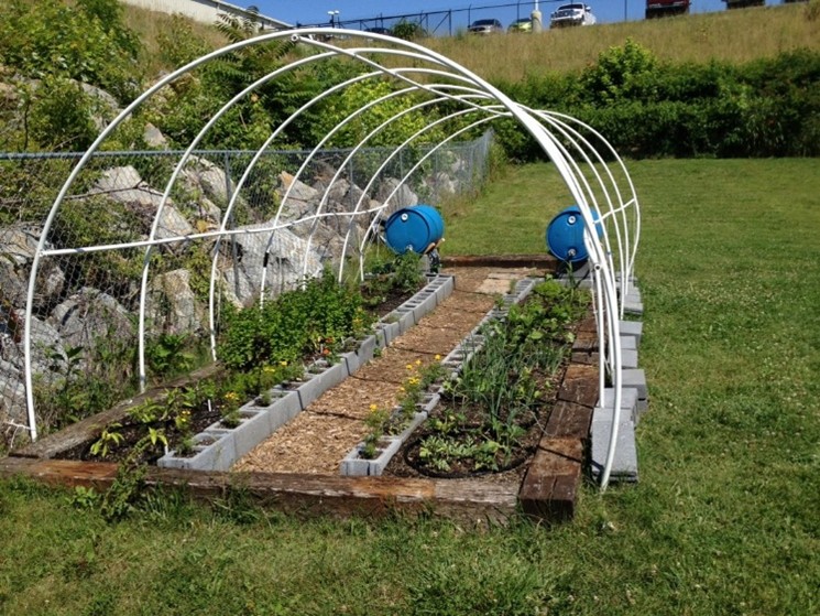 Garden at Boys and Girls Club