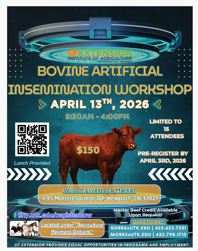 Picture of Cow. Bovine Artificial Insemination Workshop. April 13th 2026 $150.00, deadline April 3rd. Space is limited to 15 people. Questions call 423.798.1710.